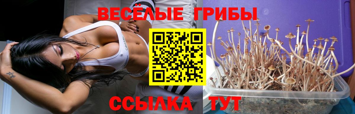 Ангарск  Галлюциногенные грибы мицелий  Вход с VPN 